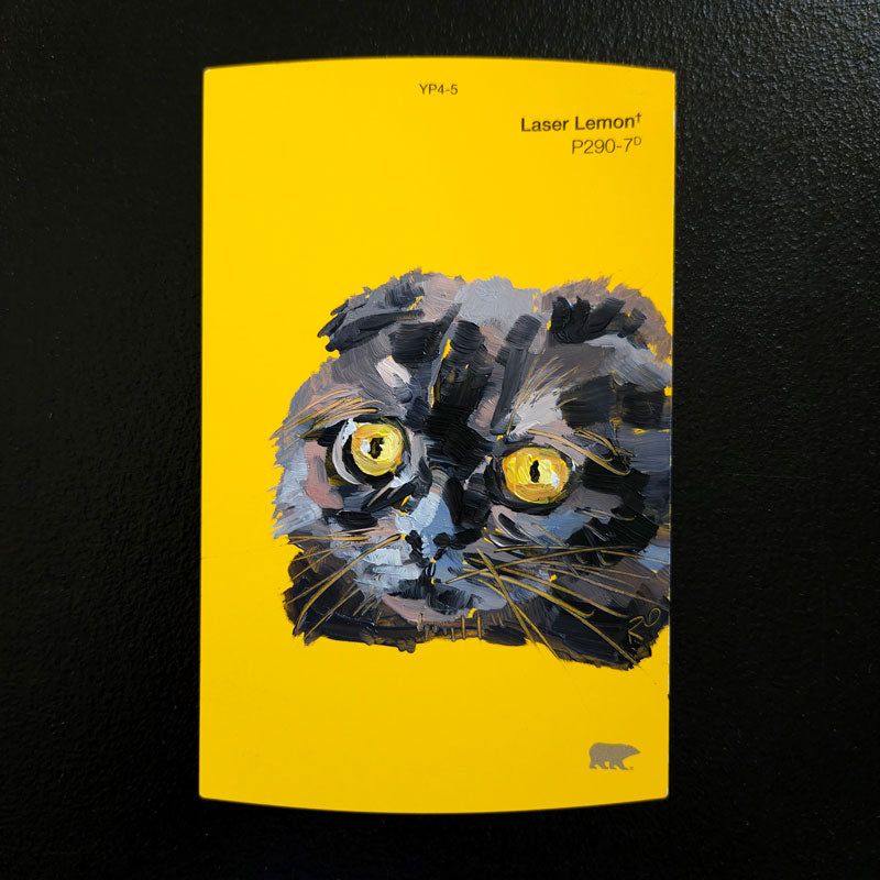 Black Cat Swatch Paintings