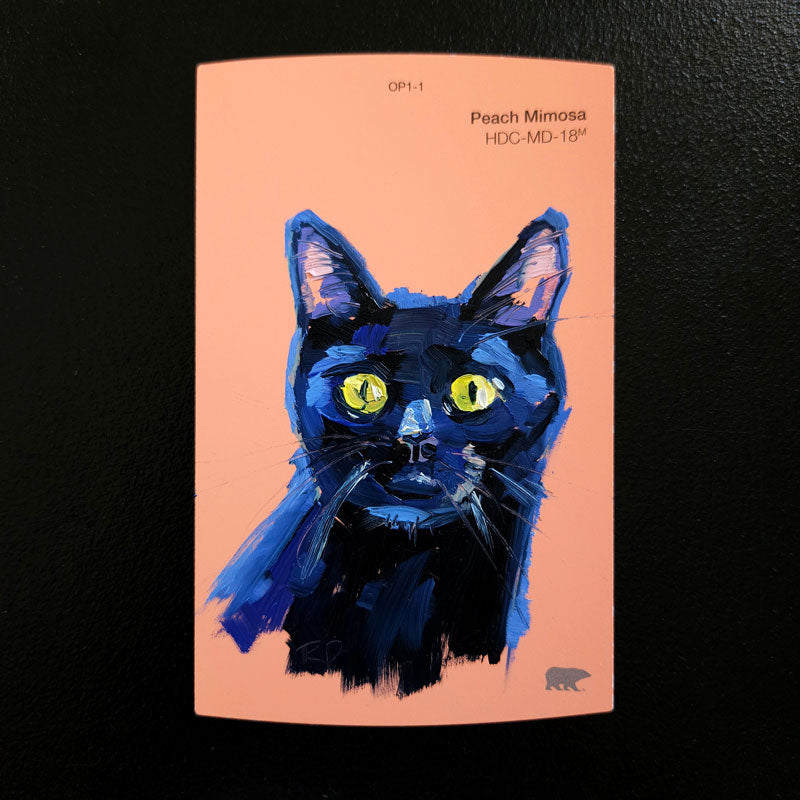 Black Cat Swatch Paintings