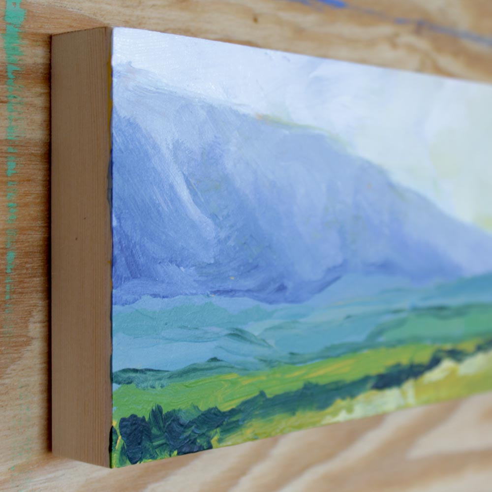 slow and patient shadows