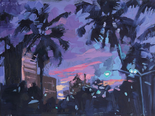 Miami Vice sunset