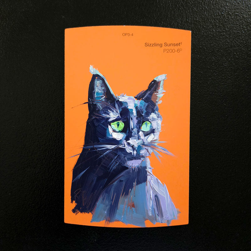 Black Cat Swatch Paintings